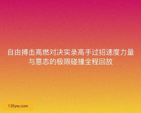 自由搏击高燃对决实录高手过招速度力量与意志的极限碰撞全程回放